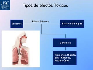 Tipos de efectos Tóxicos


                Efecto Adverso
Sustancia                             Sistema Biológico




                                     Sistémica




                                 Pulmones, Hígado,
                                 SNC, Riñones,
                                 Medula Ósea
 