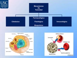 Mecanismos
                  De
               Toxicidad




             Farmacológico

Citotóxico    Fisiológico    Inmunológico

              Bioquímico
 