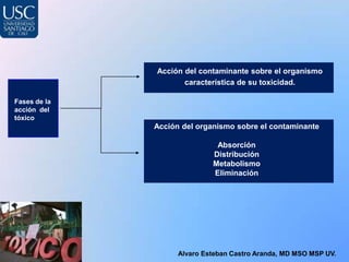 Acción del contaminante sobre el organismo
                     característica de su toxicidad.

Fases de la
acción del
tóxico
              Acción del organismo sobre el contaminante

                              Absorción
                             Distribución
                             Metabolismo
                             Eliminación




                    Alvaro Esteban Castro Aranda, MD MSO MSP UV.
 