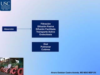 Filtración
             Difusión Pasiva
Absorción   Difusión Facilitada
            Transporte Activo
               Endocitosis



                  Oral
                Pulmonar
                 Cutánea




                           Alvaro Esteban Castro Aranda, MD MSO MSP UV.
 