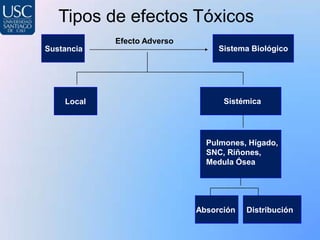 Tipos de efectos Tóxicos
            Efecto Adverso
Sustancia                         Sistema Biológico




    Local                          Sistémica




                               Pulmones, Hígado,
                               SNC, Riñones,
                               Medula Ósea




                             Absorción   Distribución
 