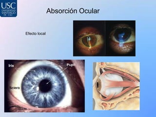 Absorción Ocular


Efecto local
 