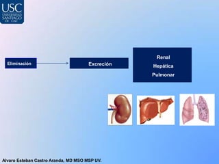 Renal
  Eliminación                         Excreción   Hepática
                                                  Pulmonar




Alvaro Esteban Castro Aranda, MD MSO MSP UV.
 