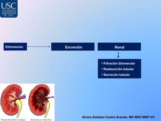 Eliminación   Excreción                  Renal



                                 Filtración Glomerular
                                 Reabsorción tubular
                                 Secreción tubular




                      Alvaro Esteban Castro Aranda, MD MSO MSP UV.
 