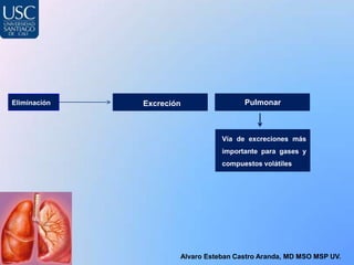 Eliminación   Excreción                Pulmonar



                                 Vía de excreciones más
                                 importante para gases y
                                 compuestos volátiles




                      Alvaro Esteban Castro Aranda, MD MSO MSP UV.
 