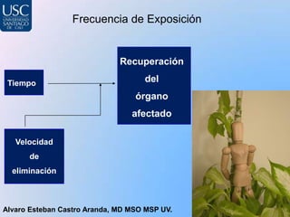 Frecuencia de Exposición


                              Recuperación

 Tiempo                             del
                                  órgano
                                 afectado

   Velocidad
      de
  eliminación



Alvaro Esteban Castro Aranda, MD MSO MSP UV.
 