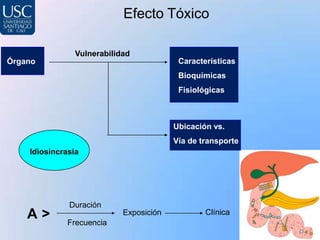 Efecto Tóxico

                Vulnerabilidad
Órgano                                    Características
                                          Bioquímicas
                                          Fisiológicas



                                         Ubicación vs.
                                         Vía de transporte
    Idiosincrasia




              Duración
    A>        Frecuencia
                            Exposición           Clínica
 