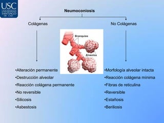 Neumoconiosis


       Colágenas                             No Colágenas




•Alteración permanente                   •Morfología alveolar intacta
•Destrucción alveolar                    •Reacción colágena mínima
•Reacción colágena permanente            •Fibras de reticulina
•No reversible                           •Reversible
•Silicosis                               •Estañosis
•Asbestosis                              •Beriliosis
 