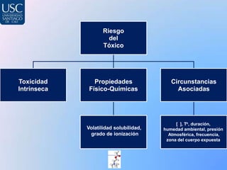 Riesgo
                      del
                    Tóxico




Toxicidad       Propiedades                Circunstancias
Intrínseca    Físico-Químicas                Asociadas




                                             [ ], To, duración,
             Volatilidad solubilidad,   humedad ambiental, presión
              grado de ionización         Atmosférica, frecuencia,
                                         zona del cuerpo expuesta
 