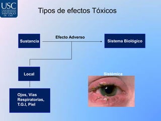 Tipos de efectos Tóxicos


                 Efecto Adverso
 Sustancia                         Sistema Biológico




   Local                          Sistémica




Ojos, Vías
Respiratorias,
T.G.I, Piel
 