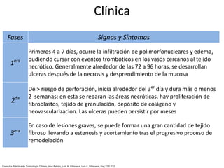 Fases Signos y Síntomas
1era
Primeros 4 a 7 días, ocurre la infiltración de polimorfonucleares y edema,
pudiendo cursar con eventos tromboticos en los vasos cercanos al tejido
necrótico. Generalmente alrededor de las 72 a 96 horas, se desarrollan
ulceras después de la necrosis y desprendimiento de la mucosa
2da
De > riesgo de perforación, inicia alrededor del 3er
día y dura más o menos
2 semanas; en esta se reparan las áreas necróticas, hay proliferación de
fibroblastos, tejido de granulación, depósito de colágeno y
neovascularizacion. Las ulceras pueden persistir por meses
3era
En caso de lesiones graves, se puede formar una gran cantidad de tejido
fibroso llevando a estenosis y acortamiento tras el progresivo proceso de
remodelación
Clínica
Consulta Práctica de Toxicología Clínica; José Pabón, Luis A. Villasana, Luis F. Villasana; Pag:270-272
 