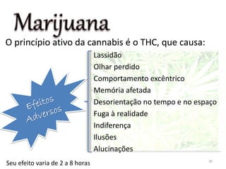 O princípio ativo da cannabis é o THC, que causa:
Lassidão
Olhar perdido
Comportamento excêntrico
Memória afetada
Desorientação no tempo e no espaço
Fuga à realidade
Indiferença
Ilusões
Alucinações
Seu efeito varia de 2 a 8 horas 30
 