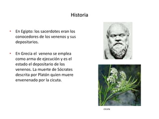 Historia
• En Egipto: los sacerdotes eran los
conocedores de los venenos y sus
depositarios.
• En Grecia el veneno se emplea
como arma de ejecución y es el
estado el depositario de los
venenos. La muerte de Sócrates
descrita por Platón quien muere
envenenado por la cicuta.
cicuta
 