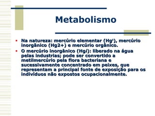 Metabolismo
• Na natureza: mercúrio elementar (HgNa natureza: mercúrio elementar (Hg00
), mercúrio), mercúrio
inorgânico (Hg2+) e mercúrio orgânico.inorgânico (Hg2+) e mercúrio orgânico.
• O mercúrio inorgânico (HgO mercúrio inorgânico (Hgii): liberado na água): liberado na água
pelas industrias; pode ser convertido apelas industrias; pode ser convertido a
metilmercúrio pela flora bacteriana emetilmercúrio pela flora bacteriana e
sucessivamente concentrado em peixes, quesucessivamente concentrado em peixes, que
representam a principal fonte de exposição para osrepresentam a principal fonte de exposição para os
indivíduos não expostos ocupacionalmente.indivíduos não expostos ocupacionalmente.
 