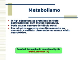 Metabolismo
• O HgO Hg2+2+
desnatura as proteínas do tratodesnatura as proteínas do trato
gastrintestinal com efeitos corrosivos.gastrintestinal com efeitos corrosivos.
• Pode causar necrose do túbulo renal.Pode causar necrose do túbulo renal.
• Em mineiros expostos simultaneamente aoEm mineiros expostos simultaneamente ao
mercúrio e selênio: observado um menor efeitomercúrio e selênio: observado um menor efeito
neurotóxico.neurotóxico.
Possível formação do complexo Hg-SePossível formação do complexo Hg-Se
efeito protetor (?)efeito protetor (?)
 