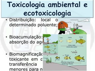 • Distribuição: local onde encontro
determinado poluente;
• Bioacumulação: remete-se a
absorção do agente tóxico
• Biomagnificação: Acúmulo do
toxicante em diferentes níveis, pela
transferência de organismos
menores para maiores
Toxicologia ambiental e
ecotoxicologia
 