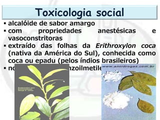 Toxicologia social
 alcalóide de sabor amargo
 com propriedades anestésicas e
vasoconstritoras
 extraído das folhas da Erithroxylon coca
(nativa da América do Sul), conhecida como
coca ou epadu (pelos índios brasileiros)
 nome químico: benzoilmetilecgonina
 