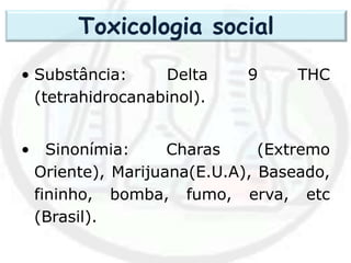 • Substância: Delta 9 THC
(tetrahidrocanabinol).
• Sinonímia: Charas (Extremo
Oriente), Marijuana(E.U.A), Baseado,
fininho, bomba, fumo, erva, etc
(Brasil).
Toxicologia social
 