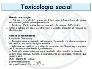 • Método de extração
•  Colocar cerca de 0,1 grama de folhas e/ou inflorescência de planta
suspeita em gral de vidro e pulverizá-la
•  Adicionar 15mL de éter, tampar com vidro de relógio 10-15minutos.
 Filtrar o extrato em papel de filtro. Com o extrato, proceder às reações de
identificação
• Reação de identificação
• Reação de Chamaravy
•  Transferir uma alíquota do extrato para cápsula de porcelana e evaporar
até resíduo, em banho de água fervente
•  Adicionar ao resíduo, uma aliquota de reativo de Chamaravy e aquecer
por 2 minutos em banho de água fervente
•  Após este tempo, adicionar água destilada pelas paredes de cápsula
•  Em caso positivo, haverá, o aparecimento de coloração violácea, que
passa a azul.
• OBS.Preparo do Reativo:
• p-dimetilbenzaldeído  3,0g
• ácido sulfúrico a 37% 100,0 mL
Toxicologia social
 