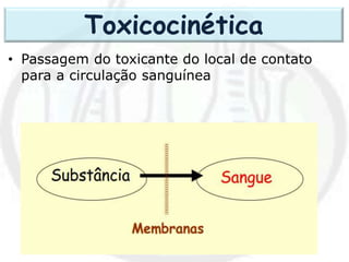 • Passagem do toxicante do local de contato
para a circulação sanguínea
Toxicocinética
 
