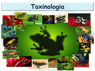 Toxinologia
 