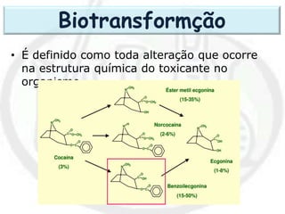 • É definido como toda alteração que ocorre
na estrutura química do toxicante no
organismo.
Biotransformção
 