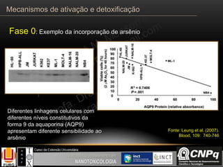Fase 0: Exemplo da incorporação de arsênio
Diferentes linhagens celulares com
diferentes níveis constitutivos da
forma 9 da aquaporina (AQP9)
apresentam diferente sensibilidade ao
arsênio
Fonte: Leung et al. (2007).
Blood, 109: 740-746
Mecanismos de ativação e detoxificação
 