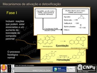 Incluem reações
que podem estar
associadas a um
aumento da
toxicidade do
composto
parental
O processo
fisiológico
normal
OHCH3
CH3
O
P450 aromatase
Testosterona
OH
CH3
OH
Estradiol
1
2
3
4
567
8
9
10
11
12
benzo[a]pireno
O
benzo[a]pireno 4,5 epoxido
Epoxidação
Hidroxilação
Fase I
Mecanismos de ativação e detoxificação
 