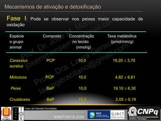 Espécie Composto Concentração Taxa metabólica
o grupo no tecido (pmol/min/g)
animal (nmol/g)
Carassius PCP 10,0 19,20  3,70
auratus
Moluscos PCP 10,0 4,82  6,61
Peixe BaP 10,0 19,10  6,30
Crustáceos BaP 10,0 2,05  0,19
Fase I: Pode se observar nos peixes maior capacidade de
oxidação
Mecanismos de ativação e detoxificação
 