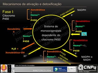 Xenobiótico
|
Hemo3+-O2
|
P450
NADPHXenobiótico
|
Hemo3+
|
P450
e-
NADPH o
NADH
e-
Xenobiótico
|
Hemo2+
|
P450
O2
O2
Hemo3+
|
P450
H+
H20 +
Xenobiótico-OH
Xenobiótico
|
Hemo2+
|
P450
Xenobiótic
o
Sistema de
monooxigenases
dependente do
citocromo P450
Fase I:
Citocromo
P450
Mecanismos de ativação e detoxificação
 