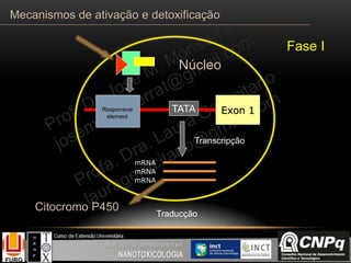 Núcleo
TATA Exon 1Responsive
element
mRNA
mRNA
mRNA
Transcripção
Traducção
Citocromo P450
Fase I
Mecanismos de ativação e detoxificação
 