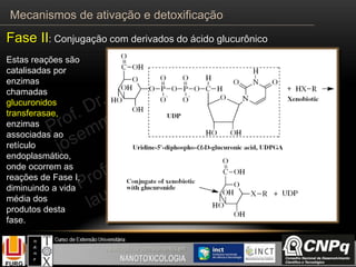 Estas reações são
catalisadas por
enzimas
chamadas
glucuronidos
transferasae,
enzimas
associadas ao
retículo
endoplasmático,
onde ocorrem as
reações de Fase I,
diminuindo a vida
média dos
produtos desta
fase.
Fase II: Conjugação com derivados do ácido glucurônico
Mecanismos de ativação e detoxificação
 