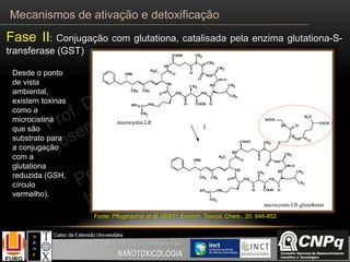 Desde o ponto
de vista
ambiental,
existem toxinas
como a
microcistina
que são
substrato para
a conjugação
com a
glutationa
reduzida (GSH,
círculo
vermelho).
Fonte: Pflugmacher et al. (2001). Environ. Toxicol. Chem., 20: 846-852.
Fase II: Conjugação com glutationa, catalisada pela enzima glutationa-S-
transferase (GST)
Mecanismos de ativação e detoxificação
 