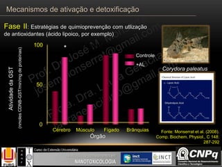 GST 4 semanas
Órgão
Cérebro Músculo Fígado Brânquias
0
50
100
Controle
+AL
AtividadedaGST
(nmolesCDNB-GST/min/mgdeproteínas)
*
50
Corydora paleatus
Fase II: Estratégias de quimioprevenção com utlização
de antioxidantes (ácido lipoico, por exemplo)
Fonte: Monserrat et al. (2008).
Comp. Biochem. Physiol., C 148:
287-292
Mecanismos de ativação e detoxificação
 