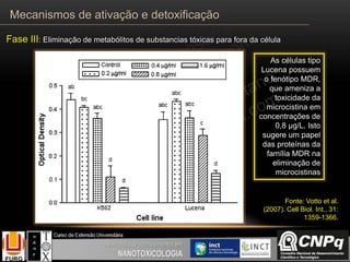 As células tipo
Lucena possuem
o fenótipo MDR,
que ameniza a
toxicidade da
microcistina em
concentrações de
0,8 µg/L. Isto
sugere um papel
das proteínas da
família MDR na
eliminação de
microcistinas
Fonte: Votto et al.
(2007). Cell Biol. Int., 31:
1359-1366.
Mecanismos de ativação e detoxificação
Fase III: Eliminação de metabólitos de substancias tóxicas para fora da célula
 