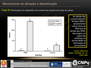 As células tipo
Lucena possuem
fenótipo MDR e
apresentaram
menor dano de
DNA que as
células tipo K562.
Isto sugere um
papel das
proteínas da
família MDR na
eliminação de
microcistinas
Fonte: Votto et al.
(2007). Cell Biol. Int., 31:
1359-1366.
Mecanismos de ativação e detoxificação
Fase III: Eliminação de metabólitos de substancias tóxicas para fora da célula
 