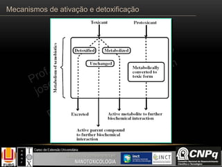 Mecanismos de ativação e detoxificação
 
