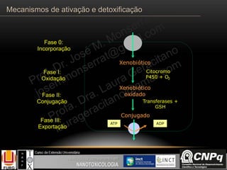 Xenobiótico
Citocromo
P450 + O2
Xenobiótico
oxidado
Transferases +
GSH
Conjugado
Fase 0:
Incorporação
Fase I:
Oxidação
Fase II:
Conjugação
Fase III:
Exportação
ATP ADP
Xenobiótico
Citocromo
P450 + O2
Xenobiótico
oxidado
Transferases +
GSH
Conjugado
ATP ADP
Mecanismos de ativação e detoxificação
 