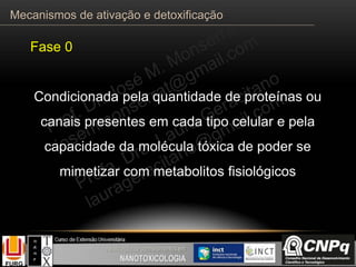 Fase 0
Condicionada pela quantidade de proteínas ou
canais presentes em cada tipo celular e pela
capacidade da molécula tóxica de poder se
mimetizar com metabolitos fisiológicos
Mecanismos de ativação e detoxificação
 