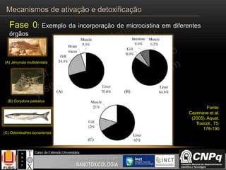 Fase 0: Exemplo da incorporação de microcistina em diferentes
órgãos
Fonte:
Cazenave et al.
(2005). Aquat.
Toxicol., 75:
178-190
(B) Corydora paleatus
(A) Jenynsia multidentata
(C) Odontesthes bonariensis
Mecanismos de ativação e detoxificação
 