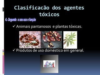 Clasificacão dos agentes
tóxicos
 Animais pantanosos e plantas tóxicas.
 Produtos de uso doméstico em general.
 