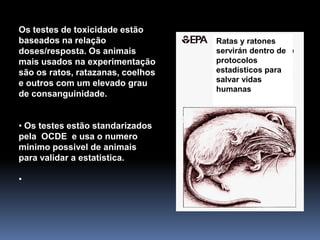Os testes de toxicidade estão
baseados na relação
doses/resposta. Os animais
mais usados na experimentação
são os ratos, ratazanas, coelhos
e outros com um elevado grau
de consanguinidade.
• Os testes estão standarizados
pela OCDE e usa o numero
minimo possivel de animais
para validar a estatistica.
•
Ratas y ratones
servirán dentro de
protocolos
estadísticos para
salvar vidas
humanas
 