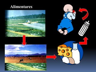Alimentares
 