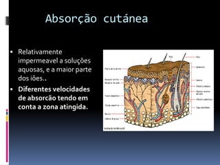 Absorção cutánea
• Relativamente
impermeavel a soluções
aquosas, e a maior parte
dos iões..
• Diferentes velocidades
de absorcão tendo em
conta a zona atingida.
 