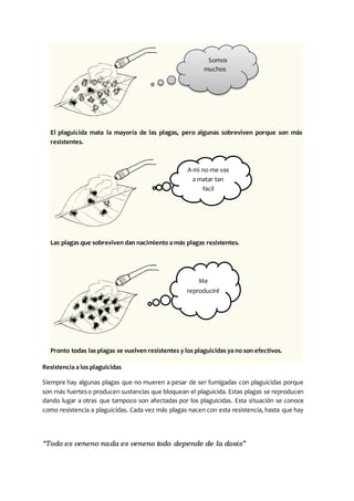 “Todo es veneno nada es veneno todo depende de la dosis”
El plaguicida mata la mayoría de las plagas, pero algunas sobreviven porque son más
resistentes.
Las plagas que sobreviven dan nacimiento a más plagas resistentes.
Pronto todas las plagas se vuelven resistentes y los plaguicidas ya no son efectivos.
Resistencia a los plaguicidas
Siempre hay algunas plagas que no mueren a pesar de ser fumigadas con plaguicidas porque
son más fuerteso producen sustancias que bloquean el plaguicida. Estas plagas se reproducen
dando lugar a otras que tampoco son afectadas por los plaguicidas. Esta situación se conoce
como resistencia a plaguicidas. Cada vez más plagas nacen con esta resistencia, hasta que hay
Somos
muchos
A mi no me vas
a matar tan
facil
Me
reproduciré
 