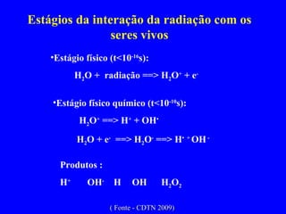 Estágios da interação da radiação com os seres vivos Estágio físico (t<10 -16 s):  H 2 O +  radiação ==> H 2 O +  + e - Estágio físico químico (t<10 -10 s):    H 2 O +  ==> H +  + OH • H 2 O + e -   ==> H 2 O -  ==> H •  +  OH  - Produtos :  H +   OH -  H  OH  H 2 O 2   ( Fonte - CDTN 2009) 