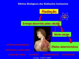 Radiação Energia absorvida pelas células Morte celular Efeitos determinísticos RADIODERMATITE CATARATA ESTERILIDADE QUEDA DE CABELO Efeitos Biológicos das Radiações Ionizantes DISTÚRBIOS GLANDULARES EFEITOS NEUROLÓGICOS ( Fonte - CDTN 2009) 