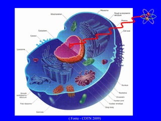 ( Fonte - CDTN 2009) 