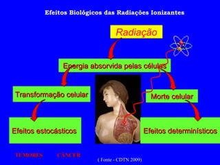 Radiação Energia absorvida pelas células Transformação celular Efeitos estocásticos  Morte celular Efeitos determinísticos CÂNCER TUMORES Efeitos Biológicos das Radiações Ionizantes ( Fonte - CDTN 2009) 
