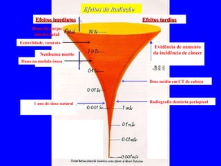 Efeitos da Radiação Efeitos tardios Efeitos imediatos Nenhuma   morte Evidência de aumento da incidência de câncer 1 ano de dose natural Dose de corpo inteiro fatal Radiografia dentária periapical Dose média em CT de cabeça Dano na medula óssea Esterelidade, catarata 